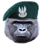 clanlogo