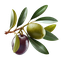 clanlogo